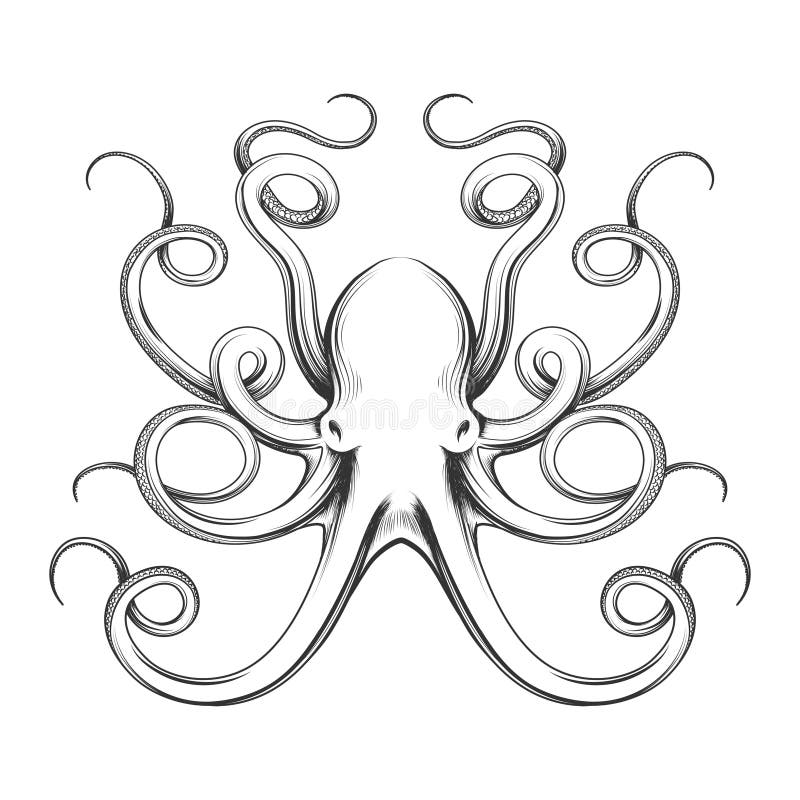 Engraved octopus vector icon