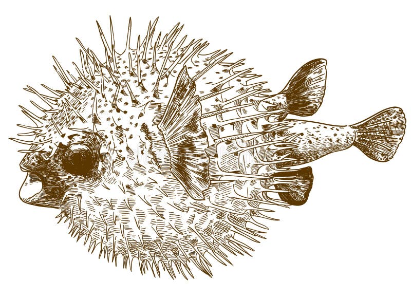 kochgeschirr clipart fish