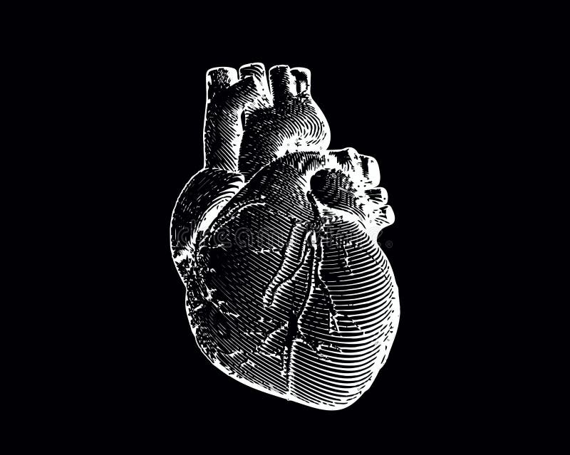 Engraving Human Heart Illustration in Variety Pop Art Style Stock ...