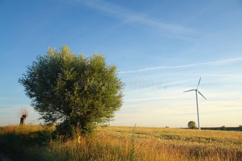 Enkele windturbine, landelijk landschap royalty-vrije stock fotografie