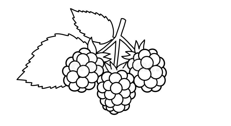 Enkel kontur för kontur-Bunch-kontur rita Ideal för Kid Friendly Coloring Activities royaltyfri illustrationer
