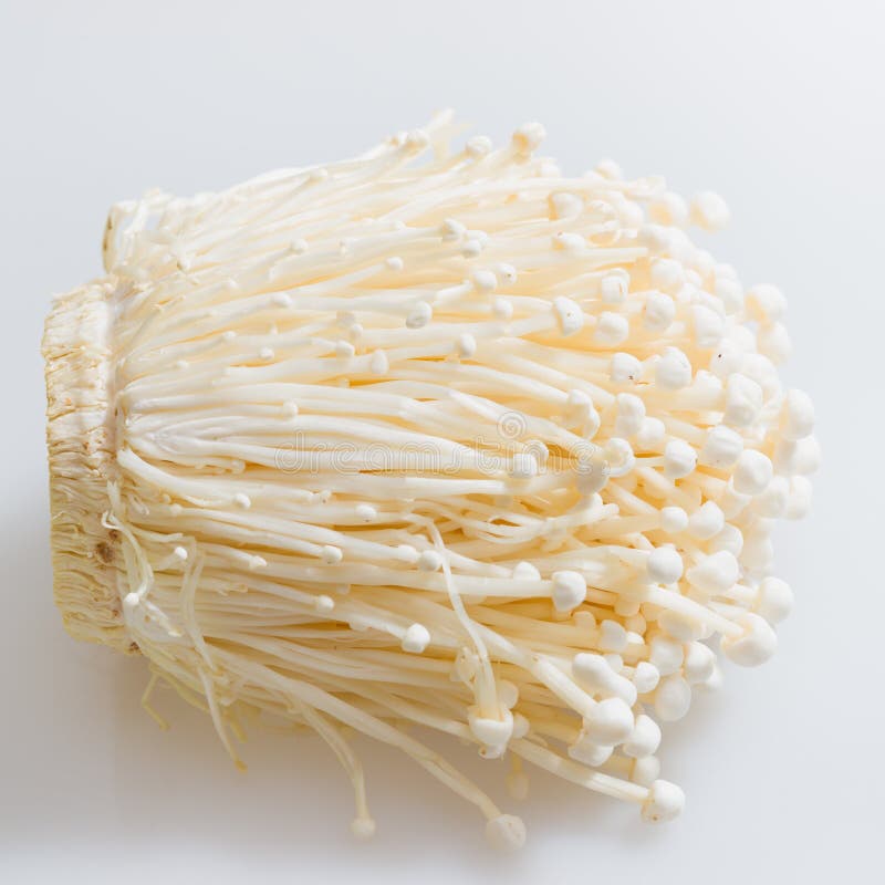 Enoki mushroom stock photo. Image of food, enoki, fungus 27839920