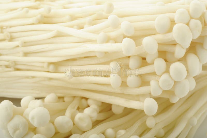 Enokitake Mushroom [long Thin White Mushroom] Stock Image Image of edible, vegetable 115870887