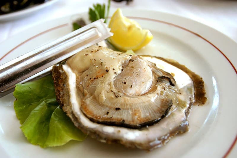 Huge Croatian oyster served and ready to eat. Huge Croatian oyster served and ready to eat