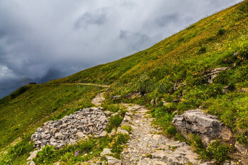 Trilho sinuoso de caminhada fotos de stock royalty free