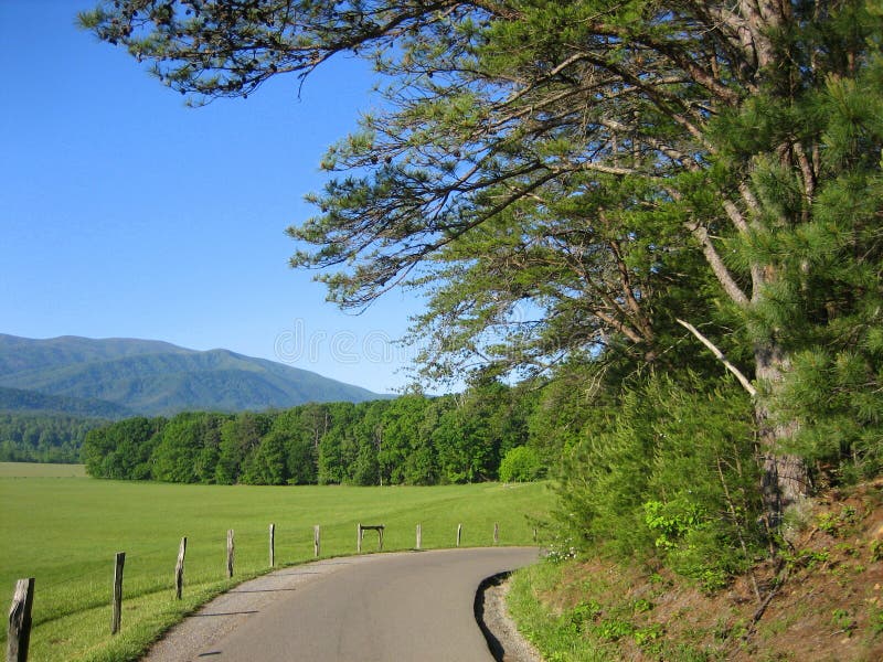 A narrow road turns out of sight in beautiful Cades Cove, TN. A narrow road turns out of sight in beautiful Cades Cove, TN.