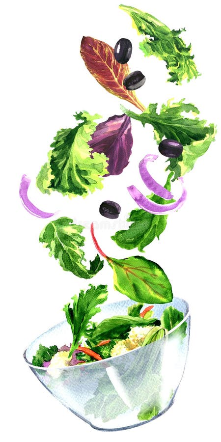 Ensalada fresca con las verduras del vuelo, hojas verdes, comida sana vegetariana, ingredientes que caen en el cuenco, aislado, m ilustración del vector