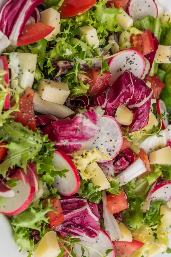 Ensalada fresca con verdes mezclados, el rábano, el queso y el tomate Italia imágenes de archivo libres de regalías Ensalada fresca con verdes mezclados, el rábano, el queso y el tomate Italia imágenes de archivo libres de regalías