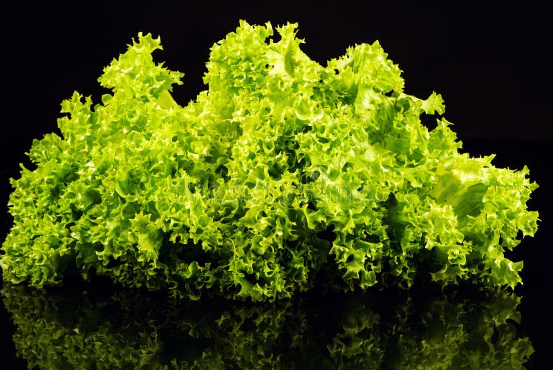 Ensalada verde fresca aislada en fondo negro imagen de archivo libre de regalías