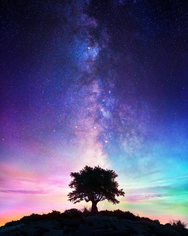 Ensamt träd med Vintergatan - stjärnklar natt