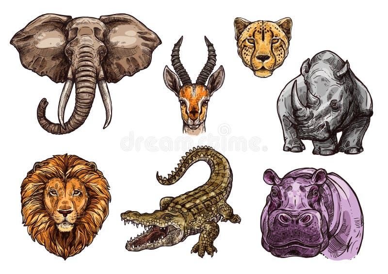Ensemble animal africain de croquis d'éléphant, lion, hippopotame illustration de vecteur Ensemble animal africain de croquis d'éléphant, lion, hippopotame illustration de vecteur