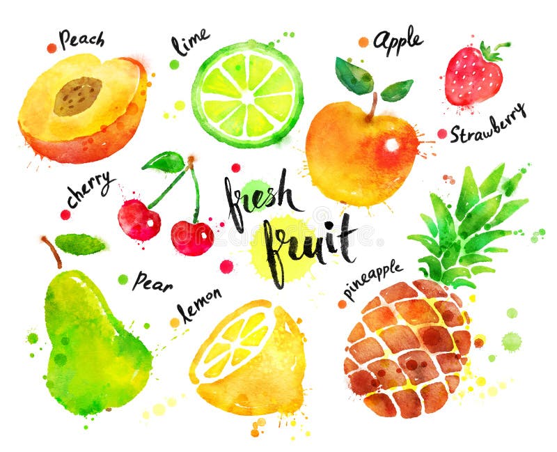 Ensemble coloré d'aquarelle de fruit