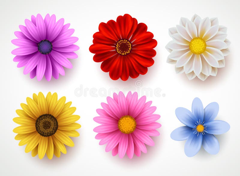 Ensemble coloré de vecteur de fleurs de ressort d'isolement à l'arrière-plan blanc illustration libre de droits