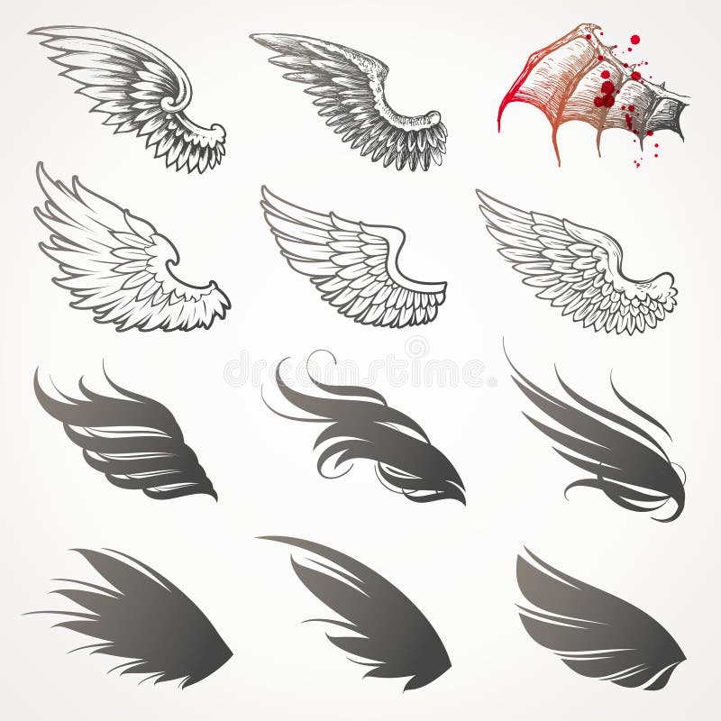 Ensemble d'ailes. Ensemble d'ailes.