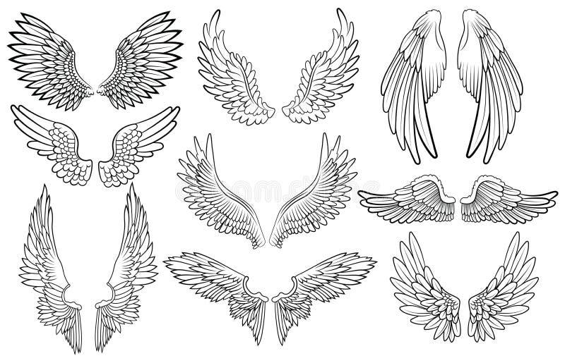 Ensemble d'ailes d'anges Collection Wings avec plumes Image vectorielle blanche noire Tattoo