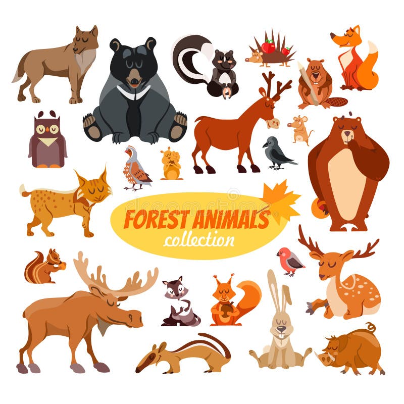 Ensemble D'animaux De La Forêt De Dessin Animé