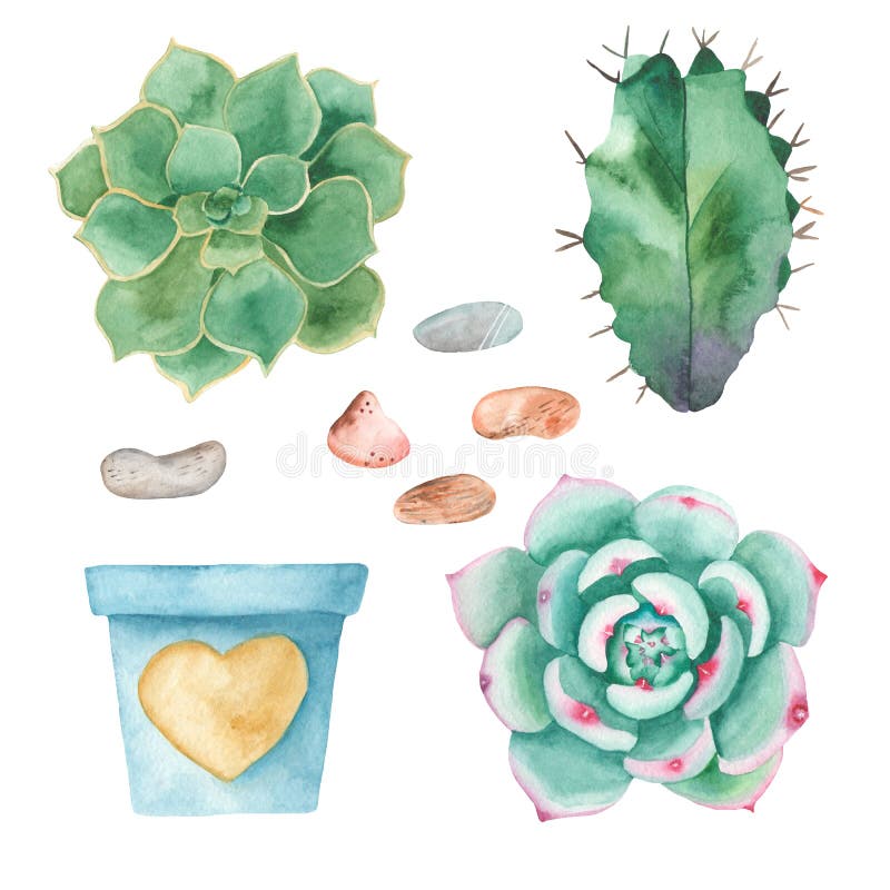 Ensemble d'aquarelle de cactus, succulents, cailloux, pots de fleur illustration libre de droits Ensemble d'aquarelle de cactus, succulents, cailloux, pots de fleur illustration libre de droits