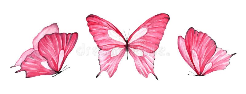 Ensemble D Aquarelle De Papillon Rose D Isolement Sur Le Fond Blanc Illustration Stock Illustration Du Decoration Isolement Ensemble D Aquarelle De Papillon Rose D Isolement Sur Le Fond Blanc Illustration Stock Illustration Du Decoration Isolement