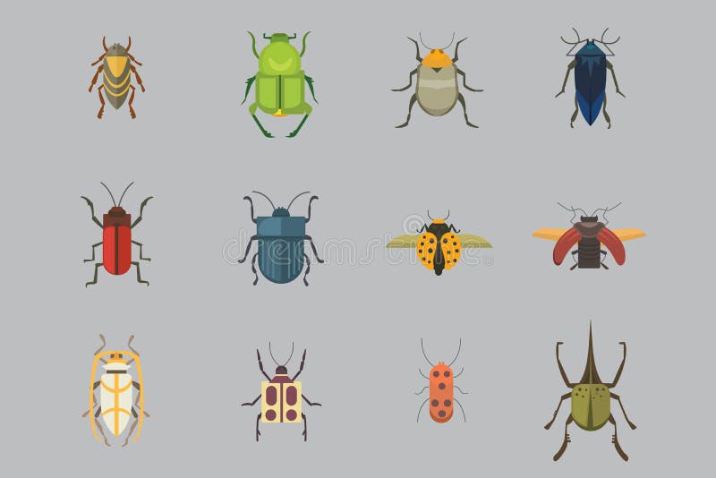 Ensemble d'icônes plates de conception de vecteur de style d'insectes Illustration de scarabée de nature de collection et de band illustration libre de droits Ensemble d'icônes plates de conception de vecteur de style d'insectes Illustration de scarabée de nature de collection et de band illustration libre de droits