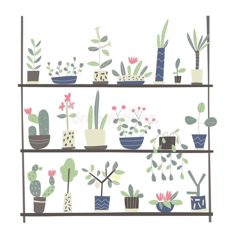 Ensemble d'usines d'intérieur dans des pots sur les étagères Illustration de vecteur sur le fond blanc illustration libre de droits Ensemble d'usines d'intérieur dans des pots sur les étagères Illustration de vecteur sur le fond blanc illustration libre de droits