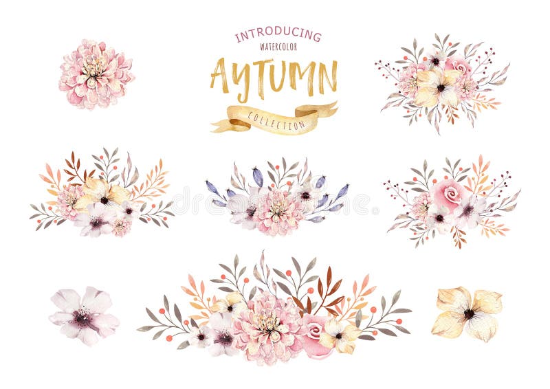 Ensemble de bouquets floraux de boho d'aquarelle Cadre naturel de Bohème pour aquarelle : feuilles, plumes, fleurs, d'isolement s illustration libre de droits