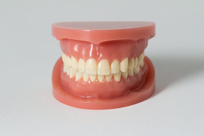 Ensemble de dents fausses sur le blanc photos libres de droits Ensemble de dents fausses sur le blanc photos libres de droits