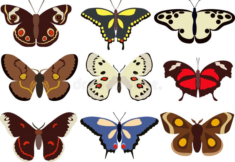 Ensemble de différents types de papillons colorés d'isolement sur le fond blanc dans le style plat Illustration de vecteur illustration libre de droits Ensemble de différents types de papillons colorés d'isolement sur le fond blanc dans le style plat Illustration de vecteur illustration libre de droits