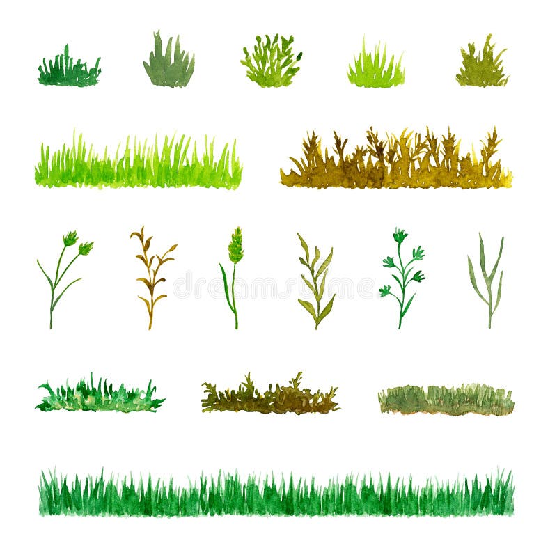 Ensemble de diverse herbe d'éléments d'usine, buissons, tiges, aquarelle tirée par la main et peinte illustration de vecteur Ensemble de diverse herbe d'éléments d'usine, buissons, tiges, aquarelle tirée par la main et peinte illustration de vecteur