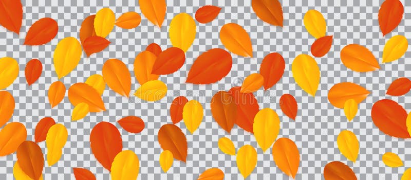 Ensemble de feuilles d'automne multicolores sur le fond transparent Illustration de vecteur
