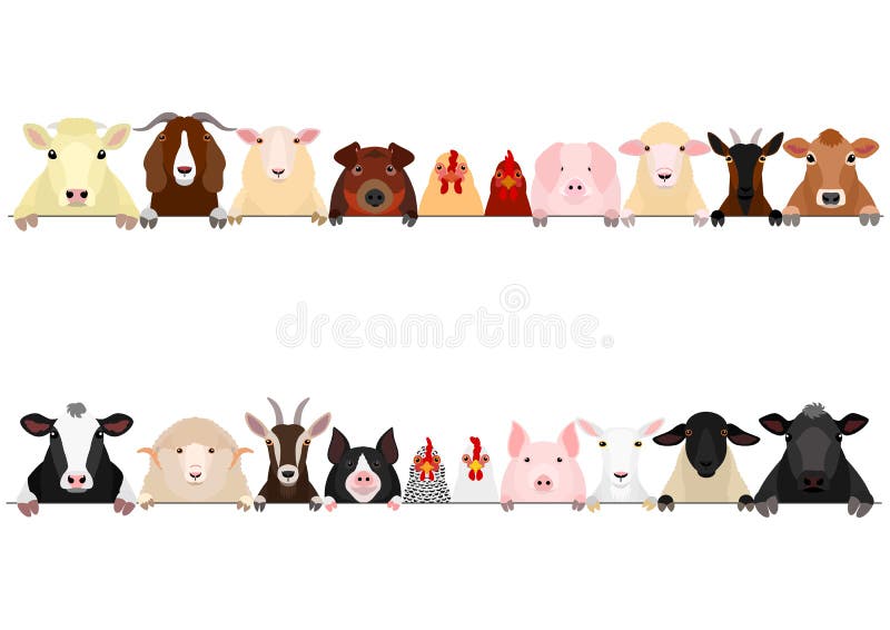 Various domestic animals in a row, set of  livestock upper body border. Various domestic animals in a row, set of  livestock upper body border.