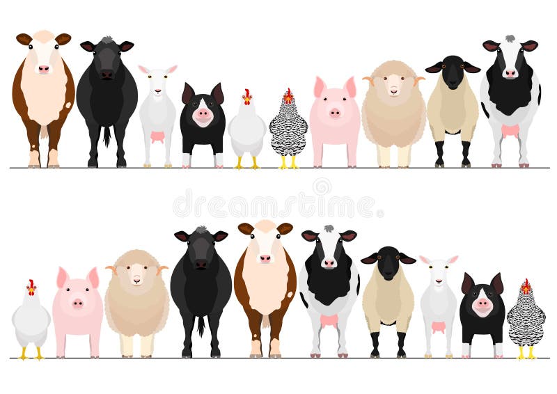 Various domestic animals in a row, set of  livestock border. Various domestic animals in a row, set of  livestock border.