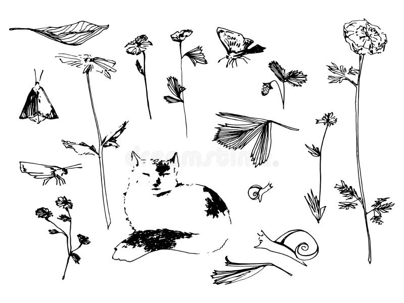 Ensemble de jardin Illustration de croquis de fleur, de papillon et d'escargot Image tirée par la main de vecteur illustration de vecteur Ensemble de jardin Illustration de croquis de fleur, de papillon et d'escargot Image tirée par la main de vecteur illustration de vecteur