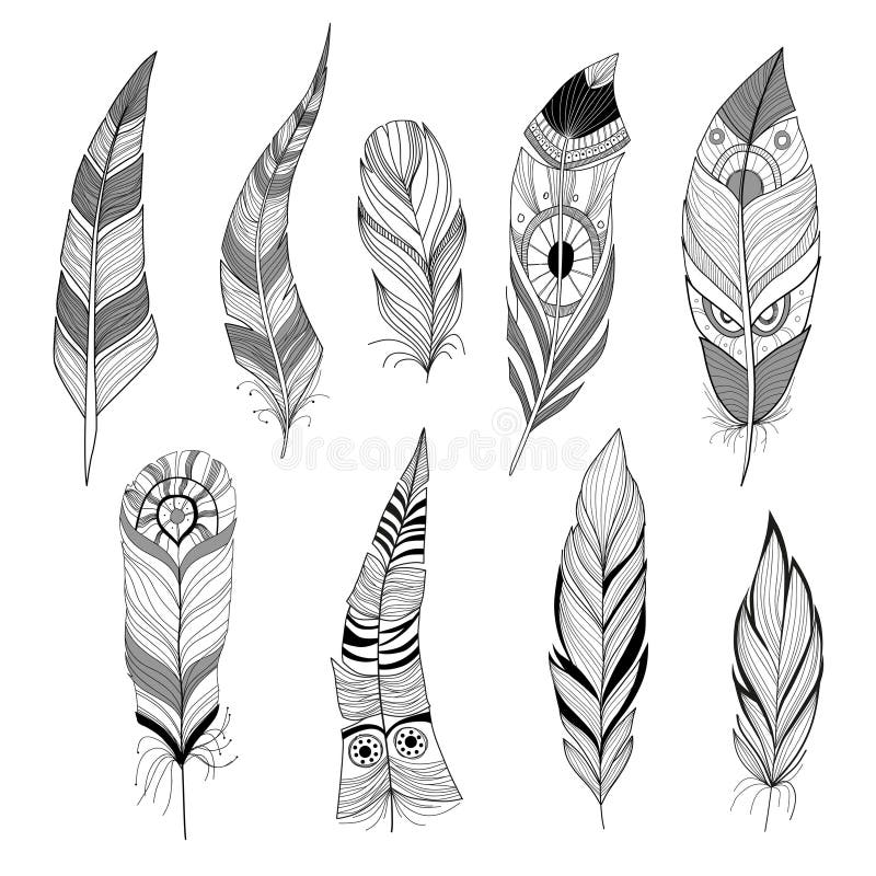 Set of decorative black and white feathers. Set of decorative black and white feathers