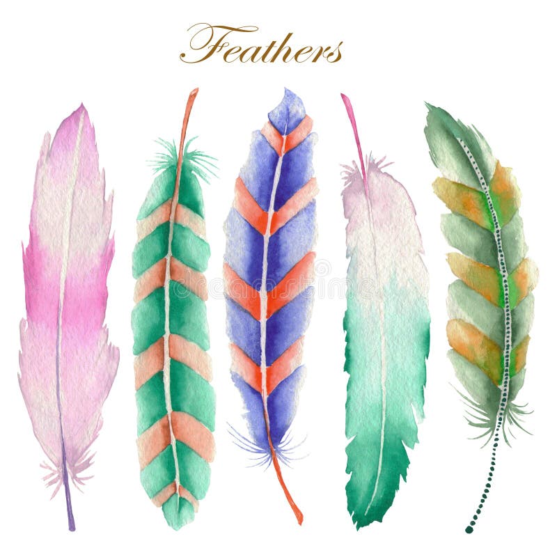 Set of colored feathers painted in watercolor on a white background. Set of colored feathers painted in watercolor on a white background