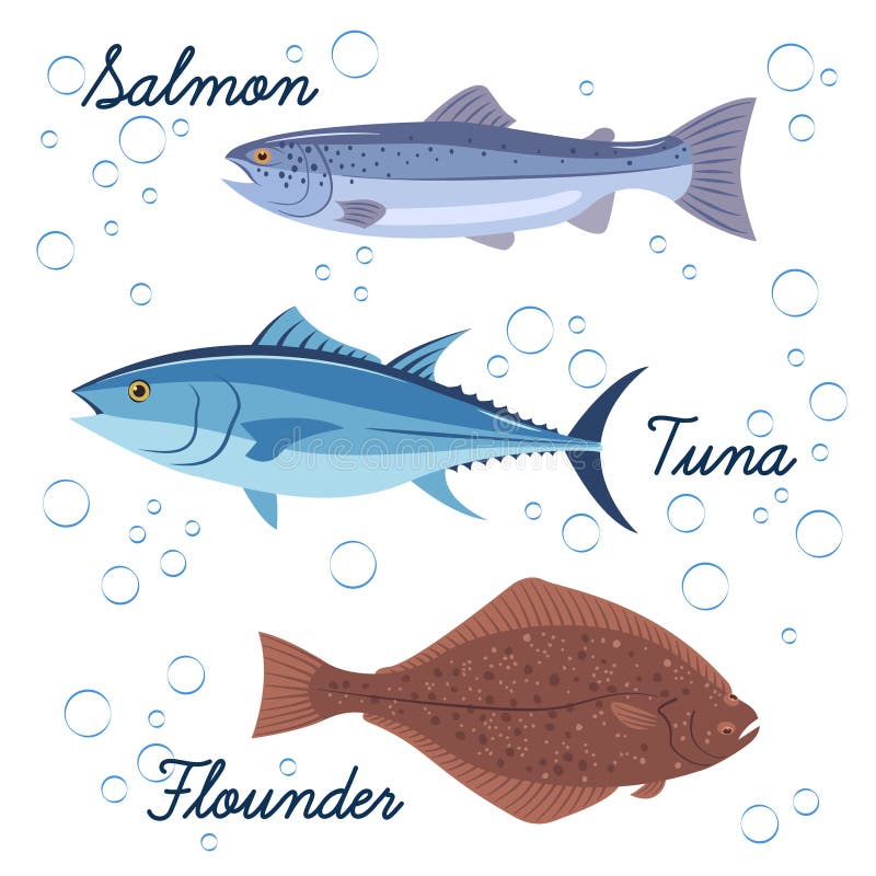 Ensemble de poisson de mer Icônes d'isolement par vecteur des poissons Saumons, thon et poissons plats illustration de vecteur Ensemble de poisson de mer Icônes d'isolement par vecteur des poissons Saumons, thon et poissons plats illustration de vecteur