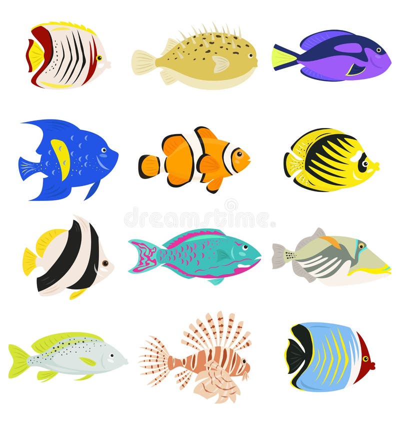 Ensemble de poissons tropicaux mignons sur le fond blanc illustration de vecteur Ensemble de poissons tropicaux mignons sur le fond blanc illustration de vecteur