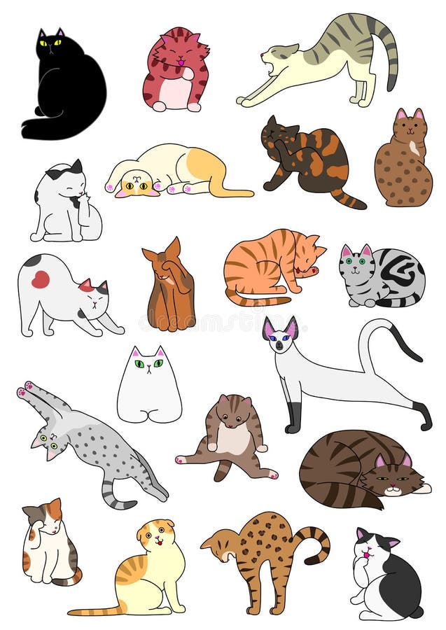 Ensemble De Posture De Chats Illustration De Vecteur Illustration Du Chat Humeur Ensemble De Posture De Chats Illustration De Vecteur Illustration Du Chat Humeur