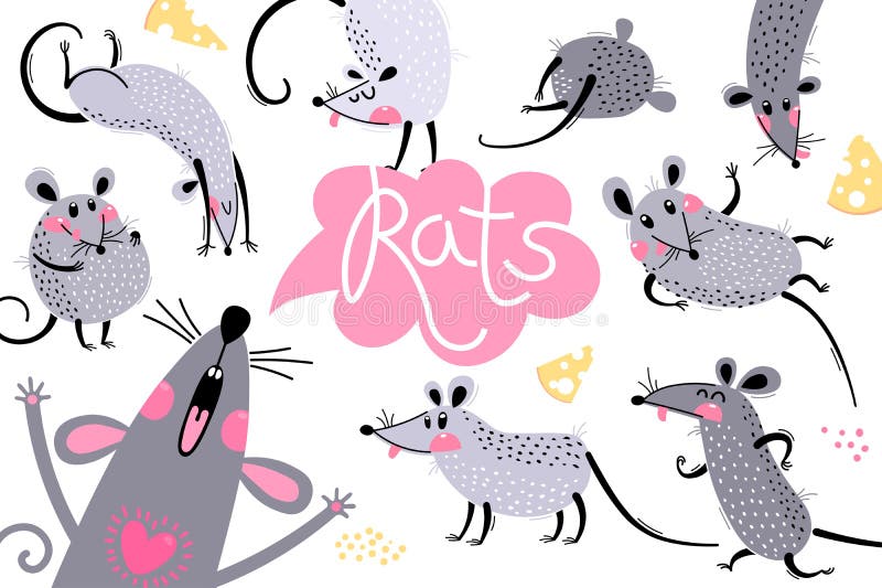 Ensemble de rats drôles pour le design De mignons petites souris dans des poses différentes Rupture de la souris Illustration vec illustration de vecteur