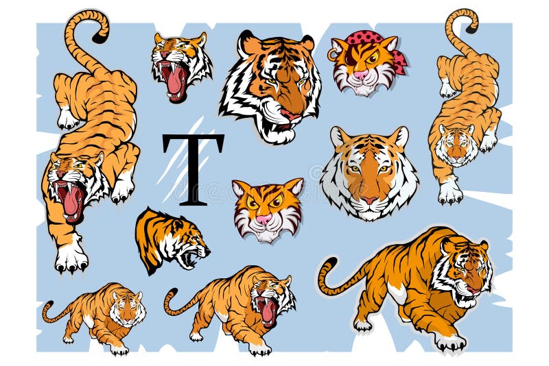 Ensemble de tigre, d'isolement sur le fond blanc, illustration de couleur illustration stock Ensemble de tigre, d'isolement sur le fond blanc, illustration de couleur illustration stock