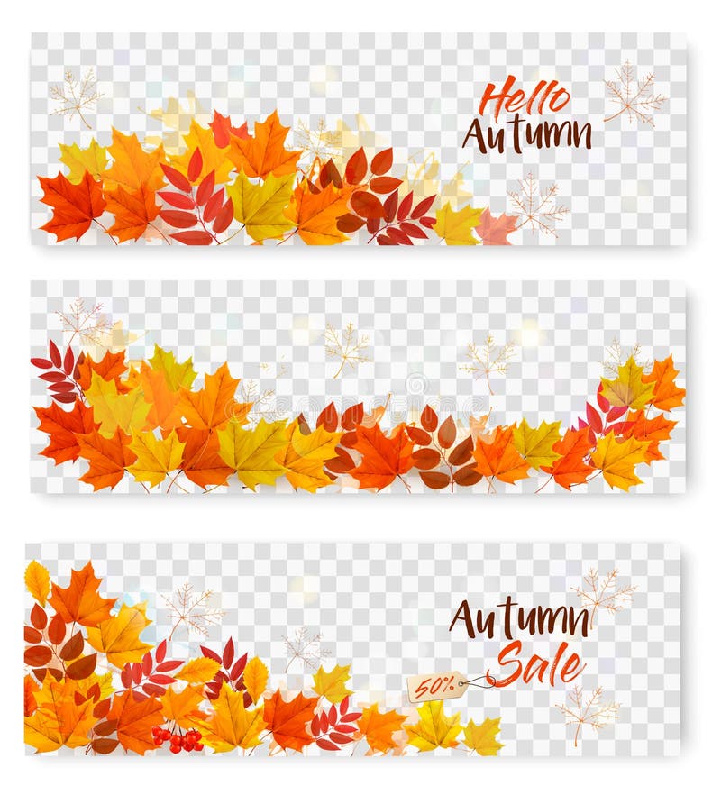 Ensemble de trois feuilles d'Autumn Sale Banners With Colorful illustration stock