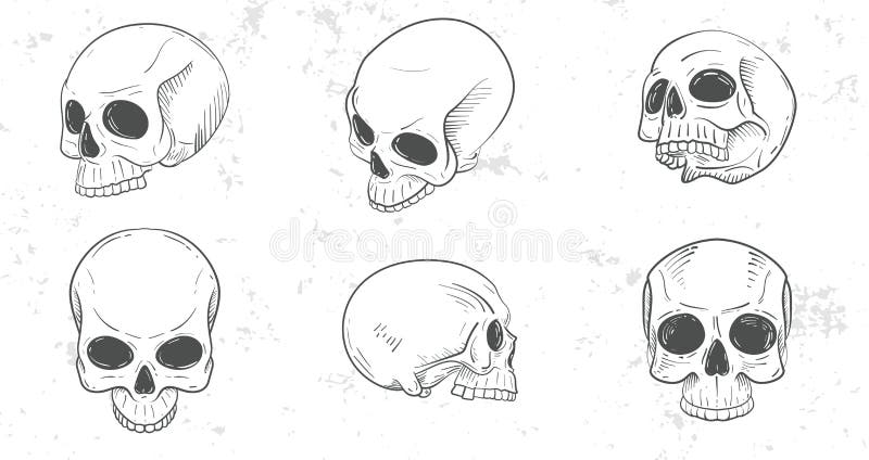 Ensemble de têtes de crâne illustration stock Ensemble de têtes de crâne illustration stock