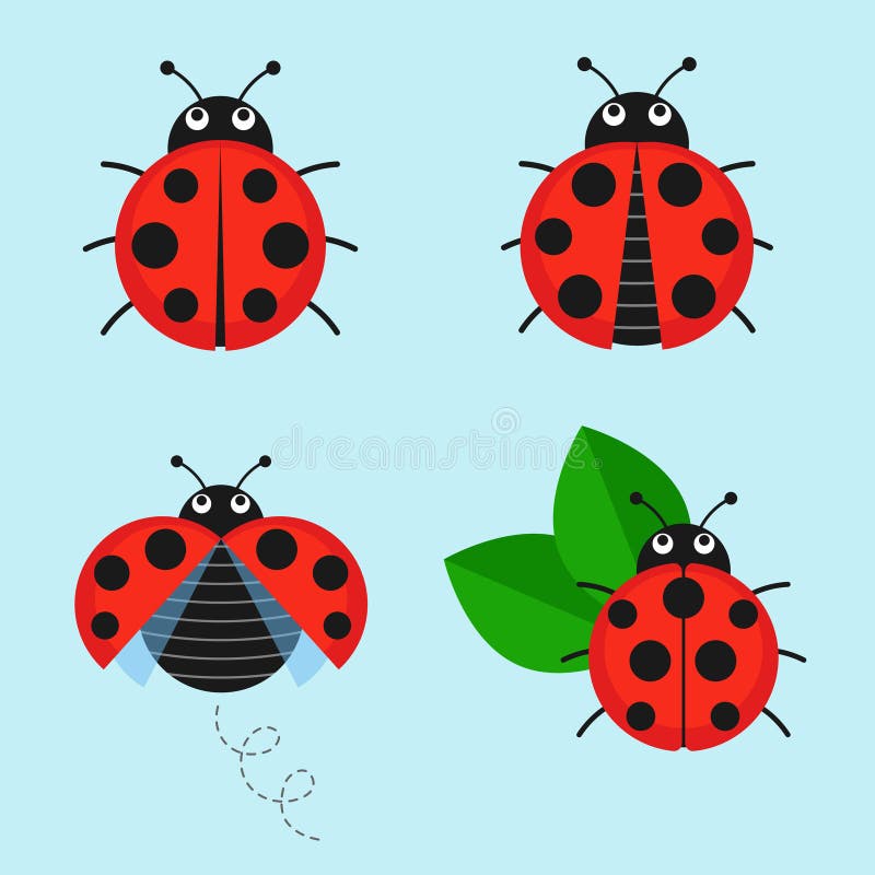 Ensemble de vecteur de coccinelle de bande dessinée illustration stock Ensemble de vecteur de coccinelle de bande dessinée illustration stock