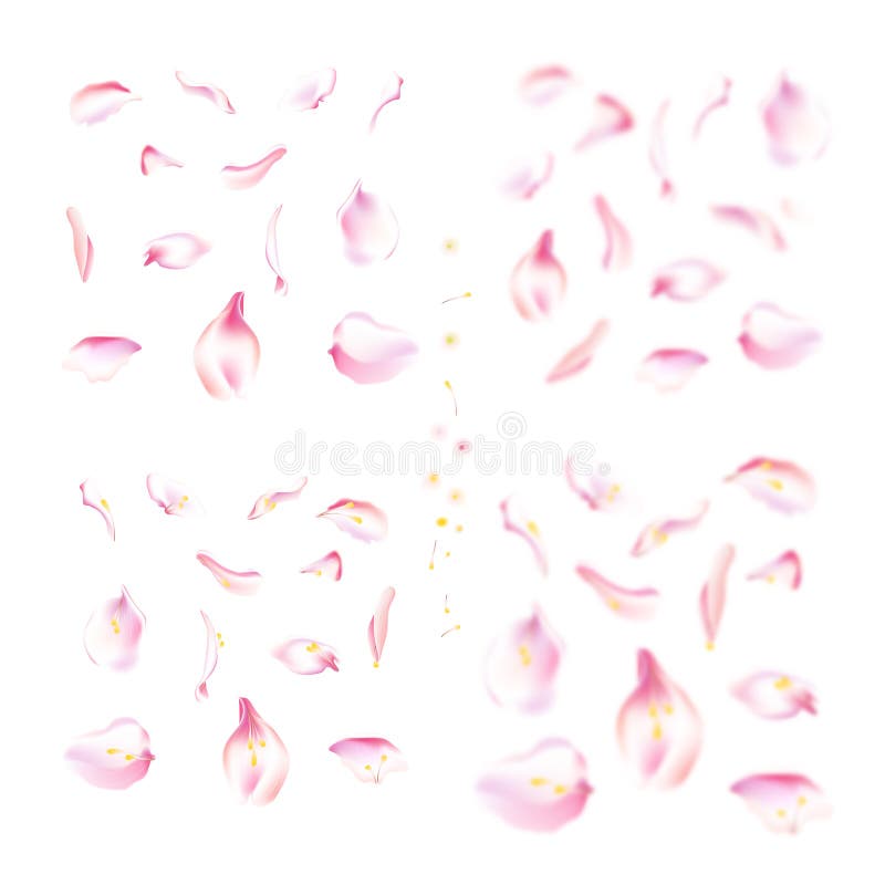 Ensemble de vecteur de rose et de pétales en baisse roses de Sakura Pétale brouillé de fleur de ressort réglé avec les éléments d illustration libre de droits Ensemble de vecteur de rose et de pétales en baisse roses de Sakura Pétale brouillé de fleur de ressort réglé avec les éléments d illustration libre de droits