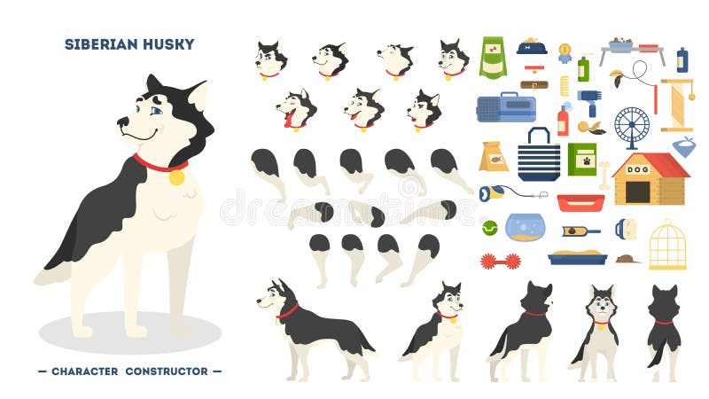 Ensemble mignon d'animation de chien de chien de traîneau sibérien d'isolement illustration de vecteur Ensemble mignon d'animation de chien de chien de traîneau sibérien d'isolement illustration de vecteur