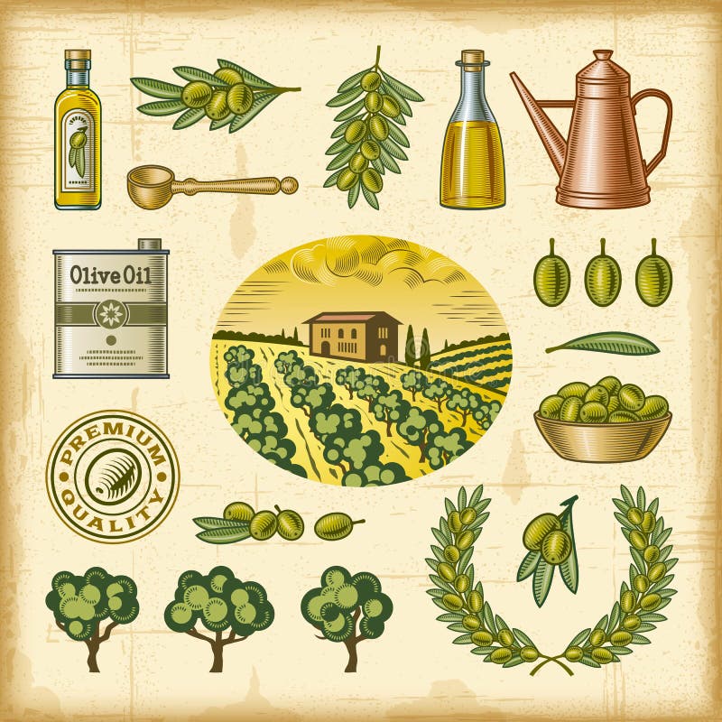 Ensemble olive coloré de récolte de vintage illustration libre de droits Ensemble olive coloré de récolte de vintage illustration libre de droits