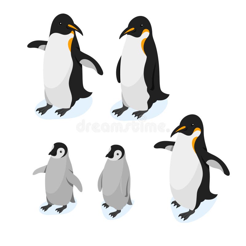 Ensemble réaliste de style du vecteur 3d isométrique de pingouins illustration libre de droits Ensemble réaliste de style du vecteur 3d isométrique de pingouins illustration libre de droits