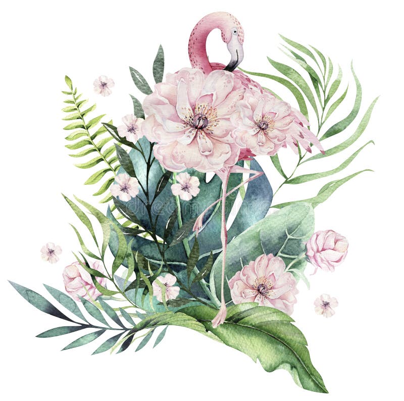Ensemble tropical d'oiseaux d'aquarelle tir?e par la main de flamant avec des feuilles Illustrations roses exotiques d'oiseau, fe illustration de vecteur Ensemble tropical d'oiseaux d'aquarelle tir?e par la main de flamant avec des feuilles Illustrations roses exotiques d'oiseau, fe illustration de vecteur