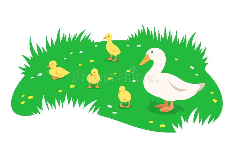 Ente mit Enten auf grüner Wiese flache Cartoon-Banner vektor abbildung