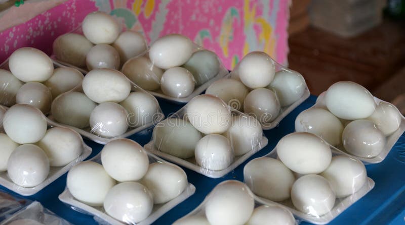Ente ärgert weiße Eier stockfotos