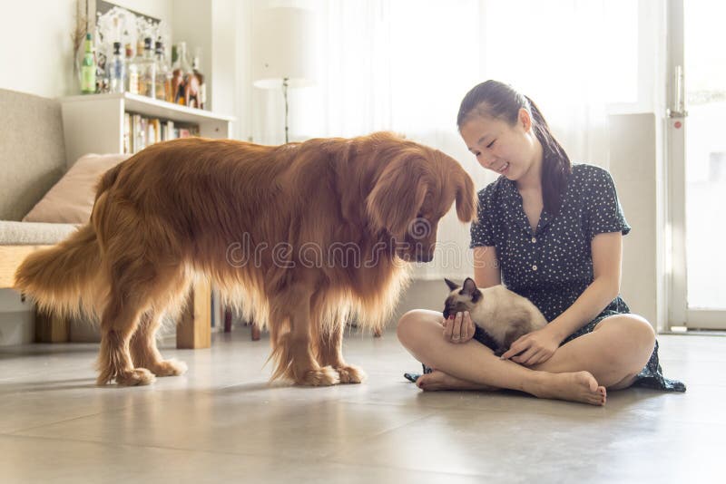 Entendez-vous avec des chats et des chiens et des filles image libre de droits Entendez-vous avec des chats et des chiens et des filles image libre de droits